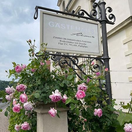 Gaestehaus Schoenitz Meißen المظهر الخارجي الصورة
